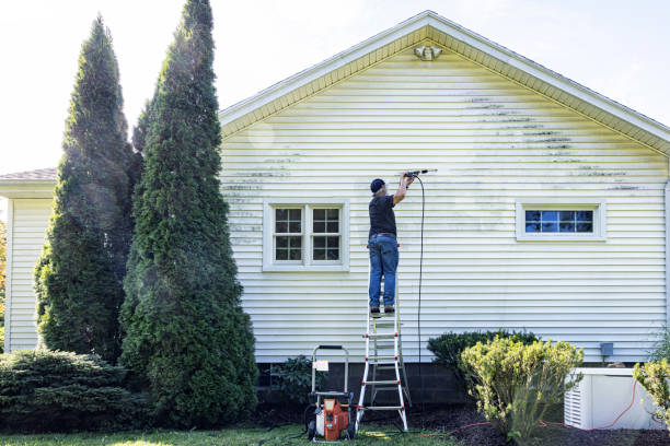 Best Exterior Home Cleaning  in Irwin, SC